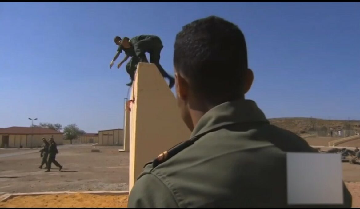 Seance de travail_Maroc_TBO_2025_14