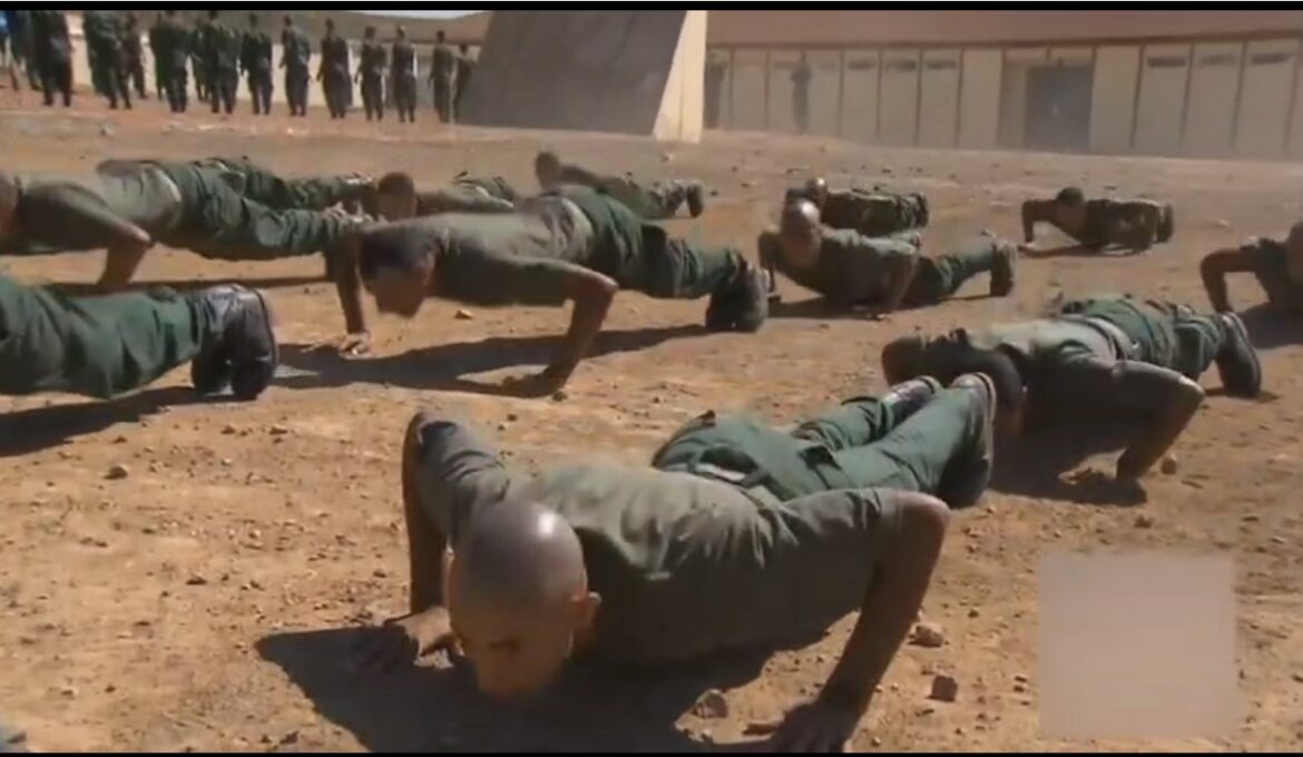 Seance de travail_Maroc_TBO_2025_15