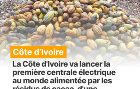 Côte d’Ivoire : 3 millions USD pour accélérer le projet de la centrale biomasse à base de résidus de cacao.
