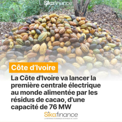 Côte d’Ivoire : 3 millions USD pour accélérer le projet de la centrale biomasse à base de résidus de cacao.