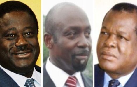 Présidentielle de 1995 en Côte d’Ivoire :  Quand le PDCI introduisait le parrainage, voici la décision du Conseil constitutionnel de Noël Nemin