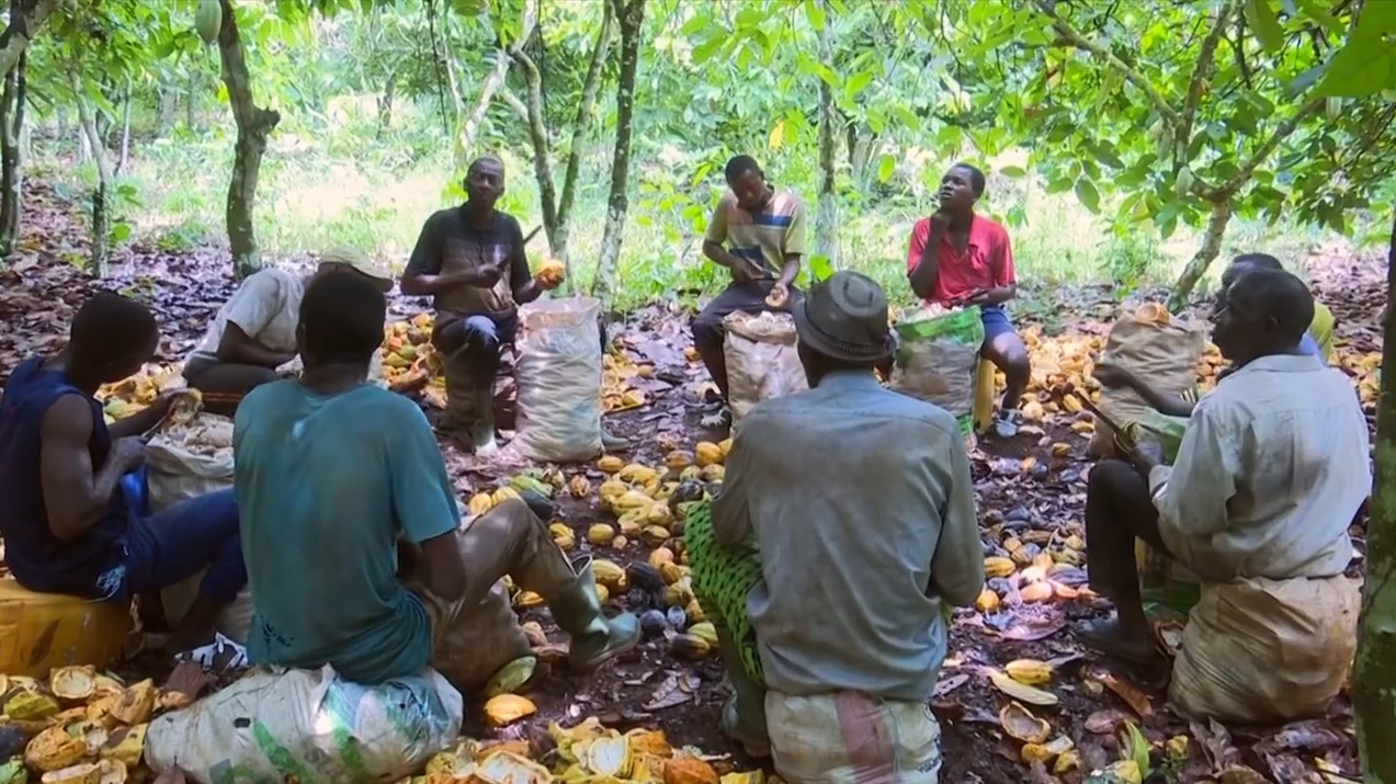 Capture d’écran 2025-06-27 123405