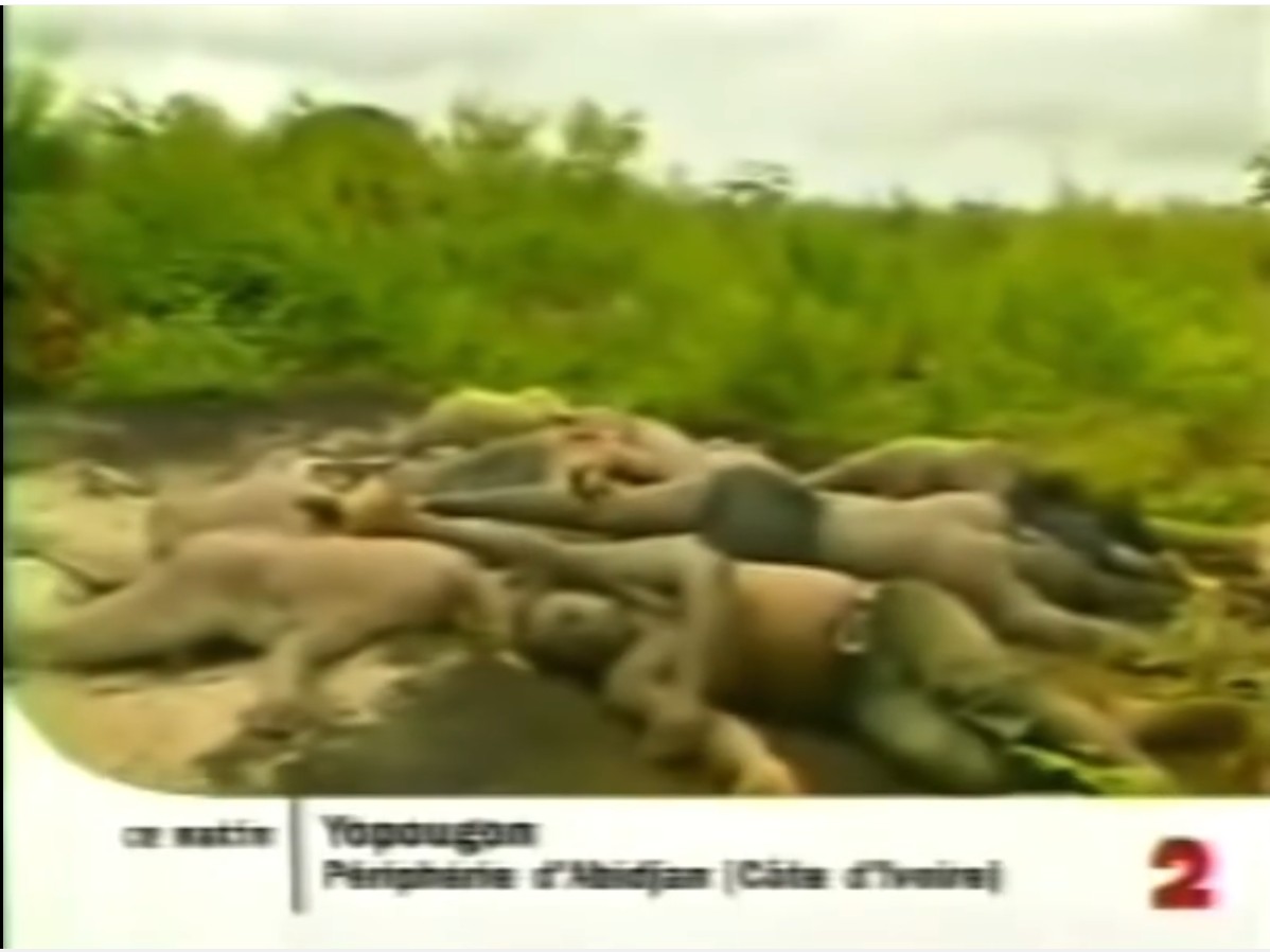 Charnier_Yopougon_Gbagbo_10