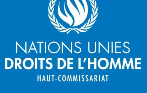 Politique – Présidentielle 2025 : Nouvelle manipulation de Tidjane Thiam épinglée par le Haut-Commissariat de l’ONU.