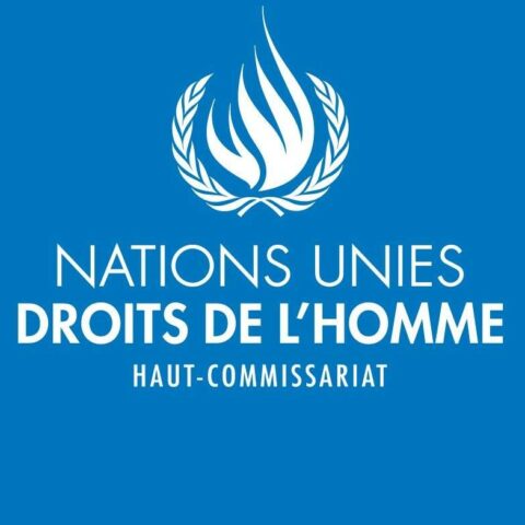 Politique – Présidentielle 2025 : Nouvelle manipulation de Tidjane Thiam épinglée par le Haut-Commissariat de l’ONU.