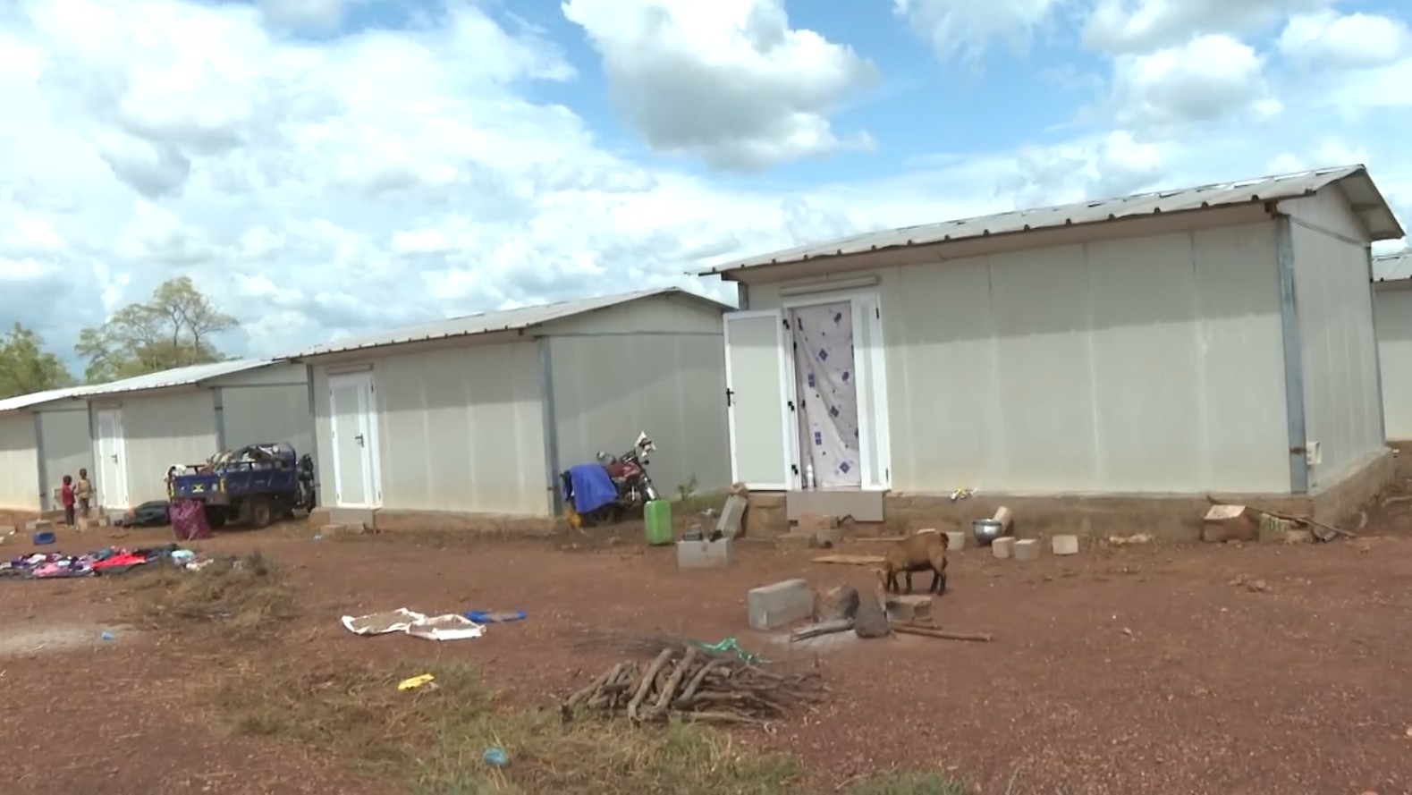 Adom_Niale_Boukani_Ghana_2025_28