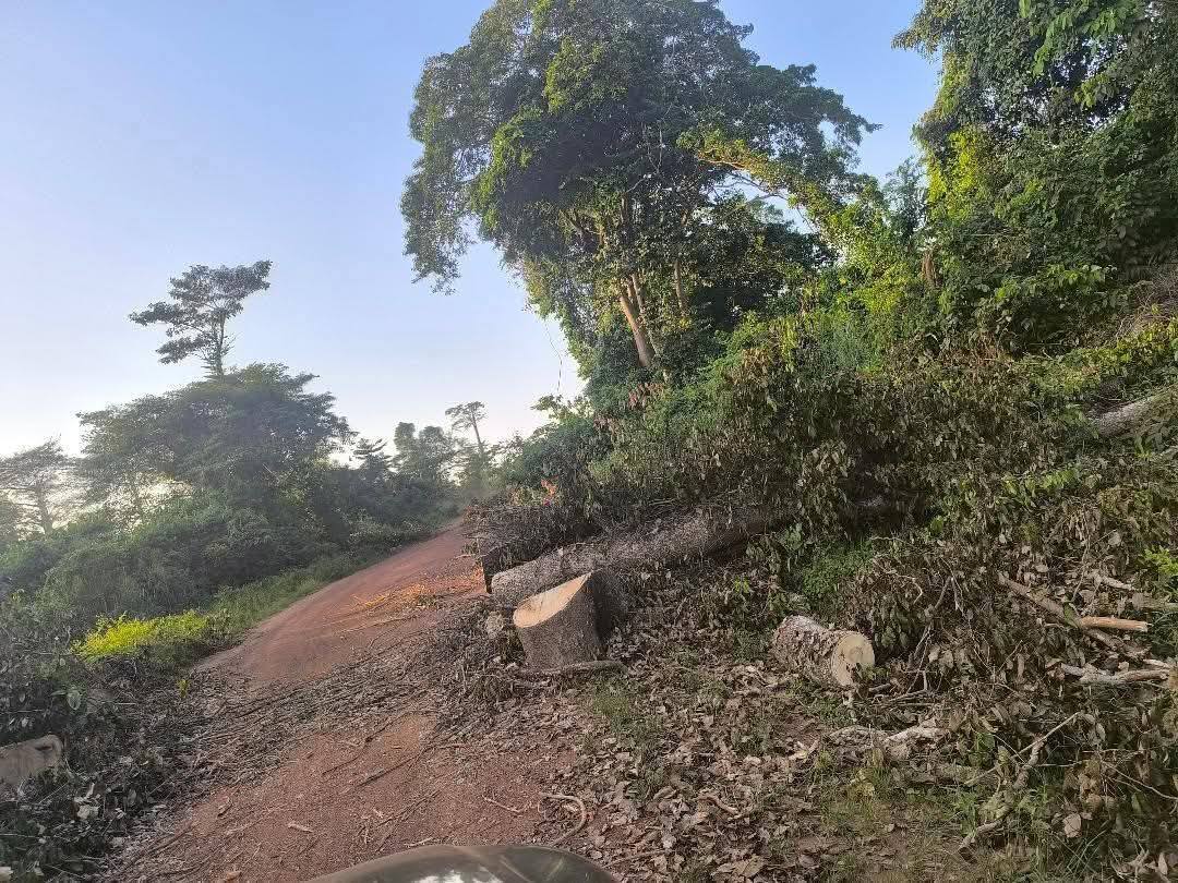 574860806_1471578978304307_7218897689724745740_n