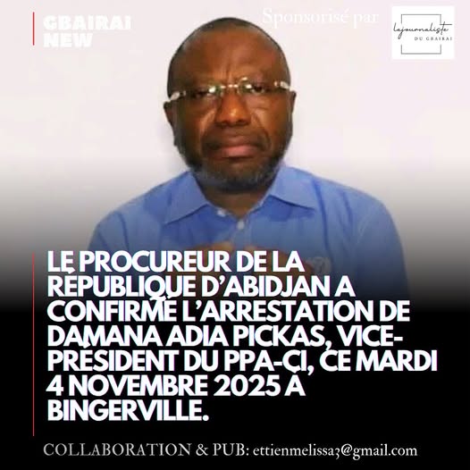 Damana_arrete_04112025