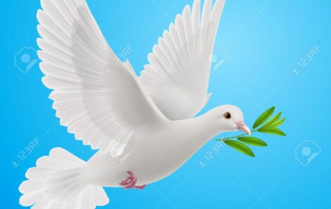 Éditos – L »éditorial d&rsquo;Adama Koné : La paix, l&rsquo;Adn des Ivoiriens.