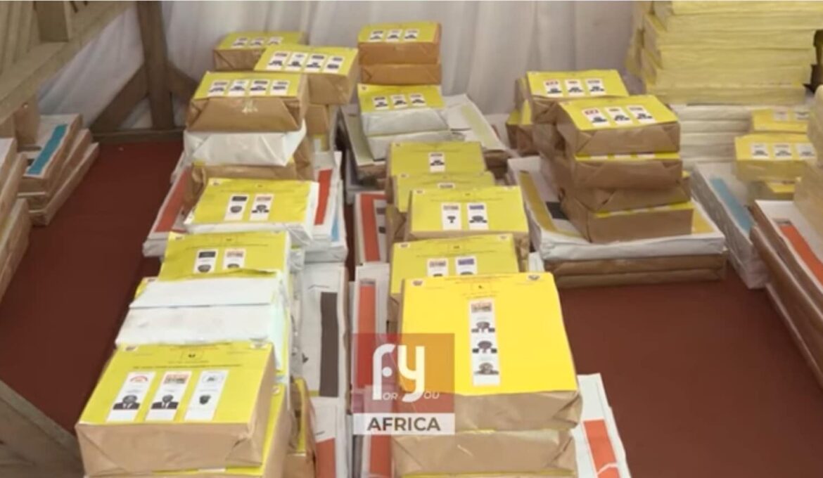 CEI_legislatives_2025_Fraudes_PDCI_2