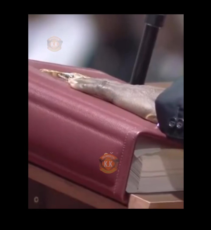 Prestation_Serment-Conseil_Contitutionnel_08122025_6