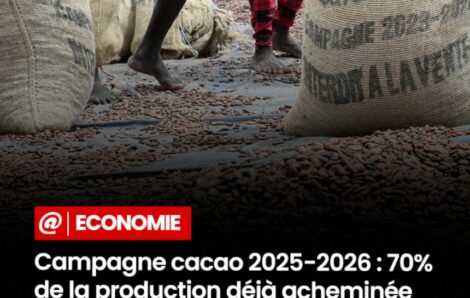 Économie Cacao de Côte d&rsquo;Ivoire : En trois mois, 70 % de la production évacuée vers les ports et plus de 2.800 milliards FCFA déjà versés aux producteurs.