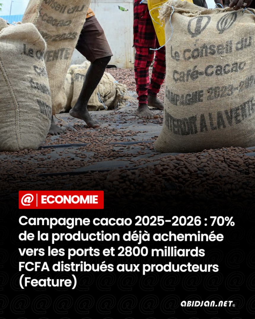Économie Cacao de Côte d&rsquo;Ivoire : En trois mois, 70 % de la production évacuée vers les ports et plus de 2.800 milliards FCFA déjà versés aux producteurs.