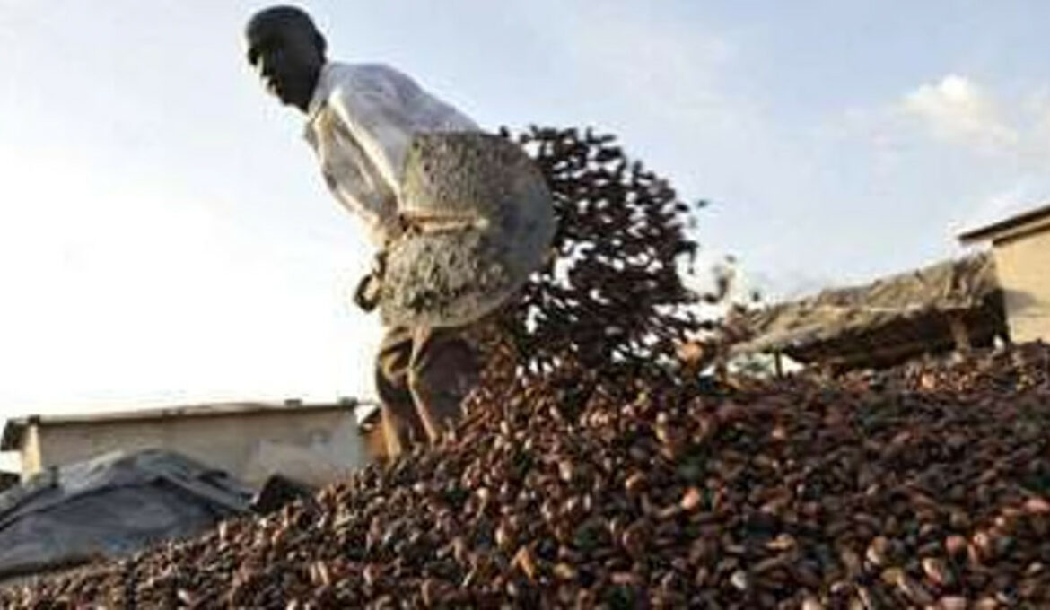 005112013123207000000030082011144131000000bvbvbvbvbbvbvbvbvbvbvbvbbvcacao