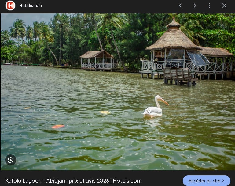 Attaque_Kaffolo_2020_2026_Proces_2026_9