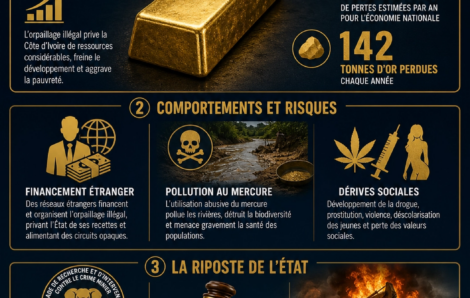 Côte d’Ivoire : 4 600 milliards FCFA annuels perdus dans l&rsquo;orpaillage illégal.