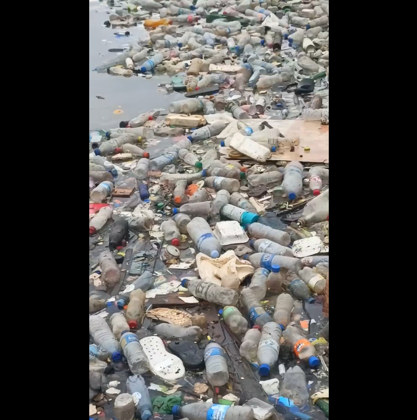 Bouteilles_Plastiques_Lagune_2026