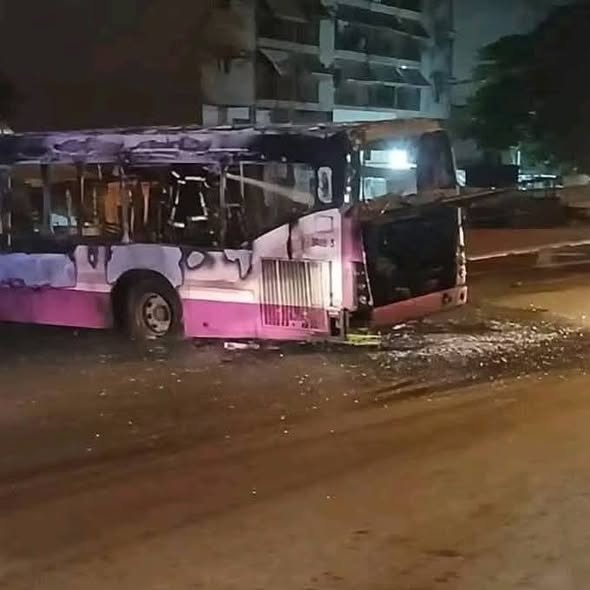 Bus_Sotra_1